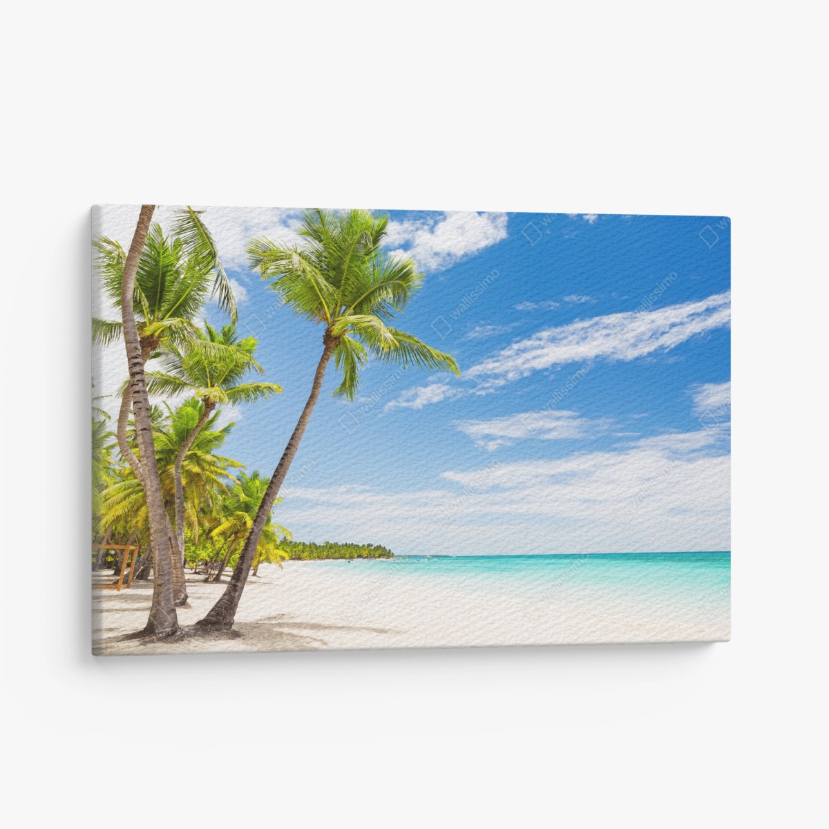 Leinwandbild palmenstrand in Punta Cana – Pixers®