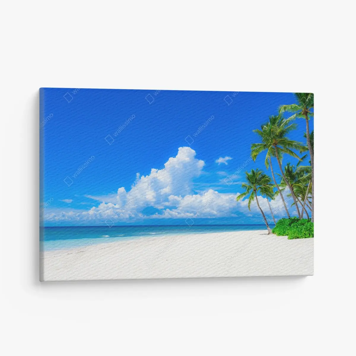 Leinwandbild tropischer palmenstrand unter blauem himmel – Pixers®