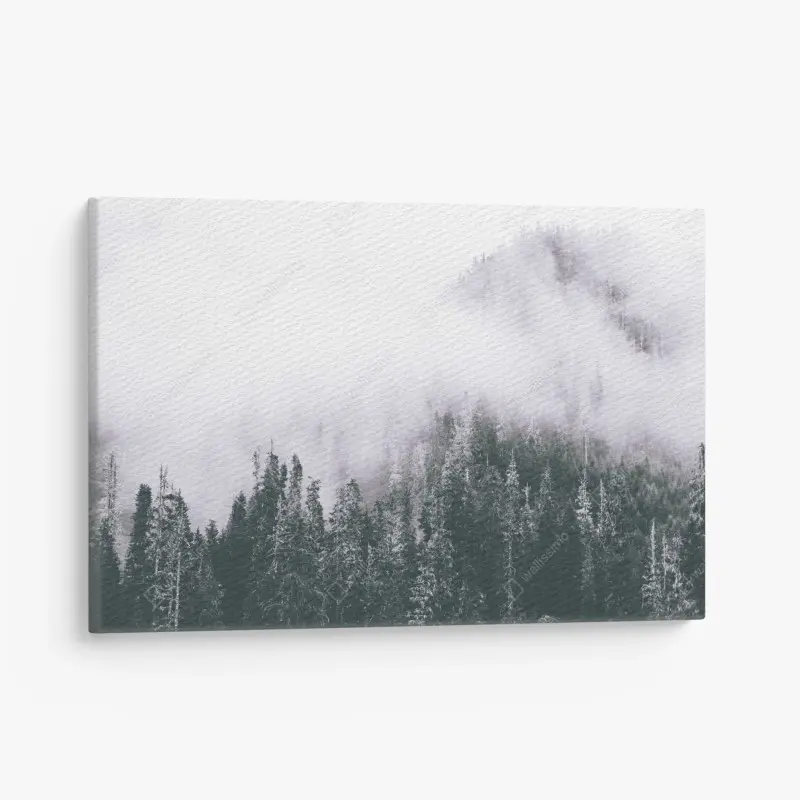 Leinwandbild nebliger immergrüner wald