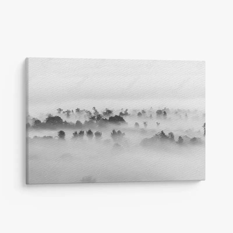 Leinwandbild nebliger wald in monochrom