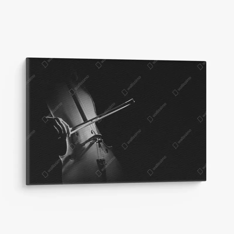 Leinwandbild elegantes cello in monochrom