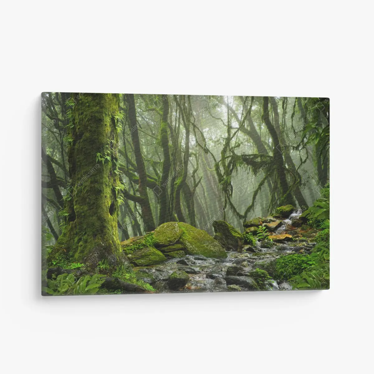 Leinwandbild moosiger wald mit bach im nebel – Pixers®