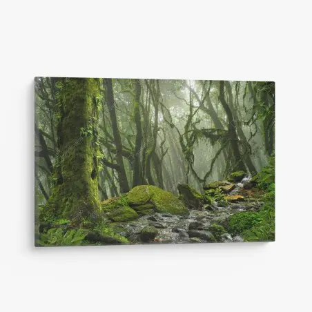 Leinwandbild moosiger wald mit bach im nebel – Pixers®