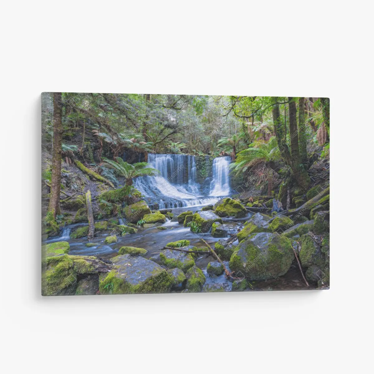 Leinwandbild friedlicher waldwasserfall – Pixers®