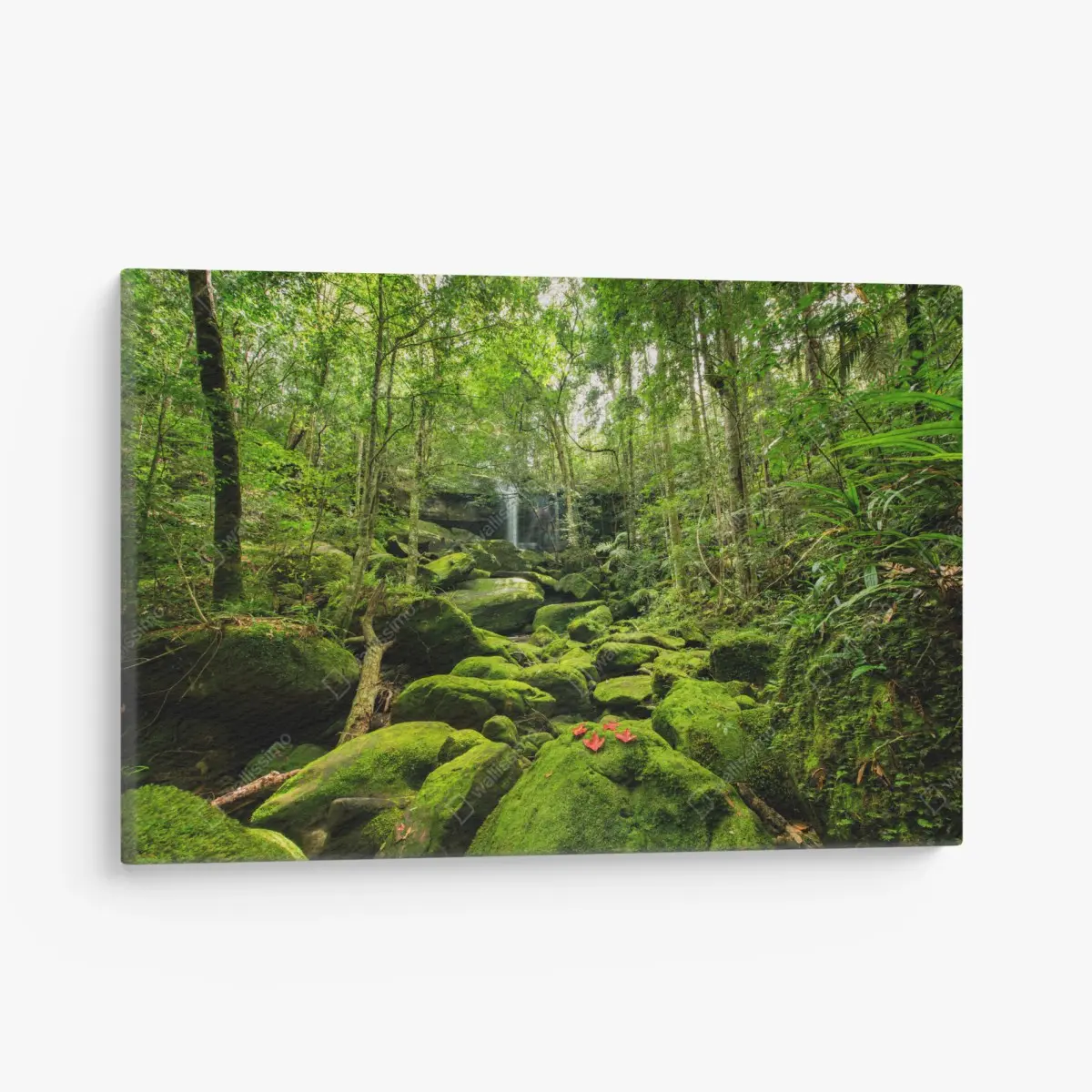 Leinwandbild üppiger moosbewachsener wasserfall im tropischen wald – Pixers®