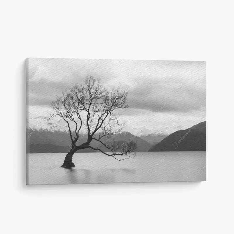 Leinwandbild einsamer baum im see in schwarzweiß