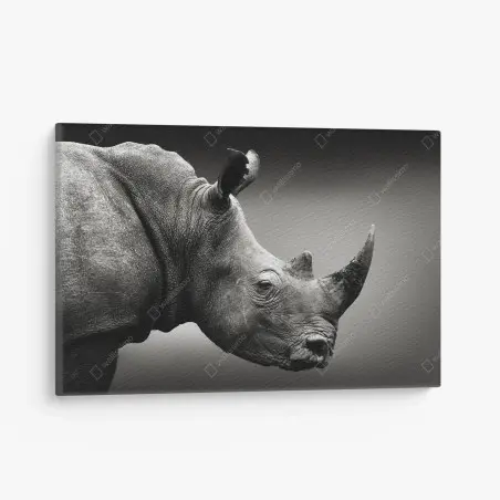 Leinwandbild majestätisches nashornporträt – Pixers®