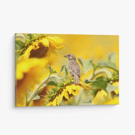 Leinwandbild spatz auf einer sonnenblume – Pixers®