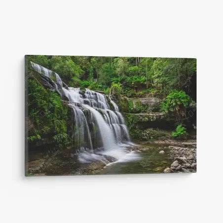 Leinwandbild wasserfall Liffey Falls im üppigen Regenwald von Tasmanien – Pixers®
