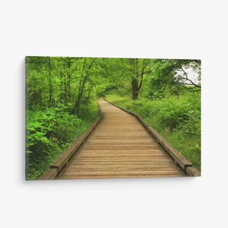 Leinwandbild ruhiger holzsteg im wald – Pixers®