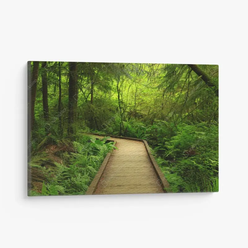 Leinwandbild ruhiger grüner waldsteg