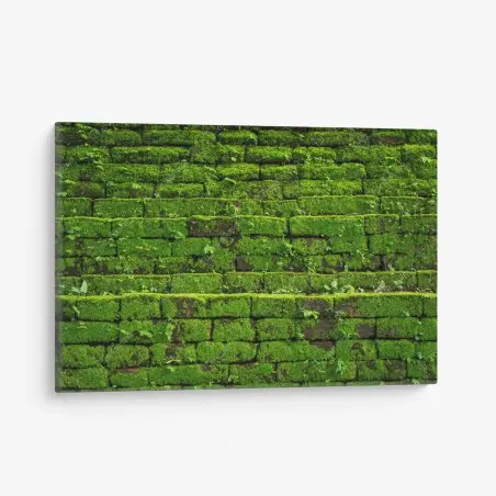 Leinwandbild üppige moosbedeckte ziegelwand – Pixers®