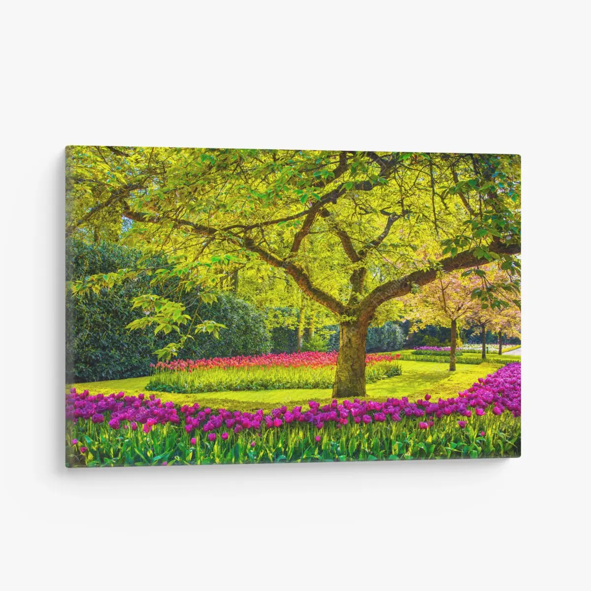 Leinwandbild bunter tulpengarten in Keukenhof – Pixers®