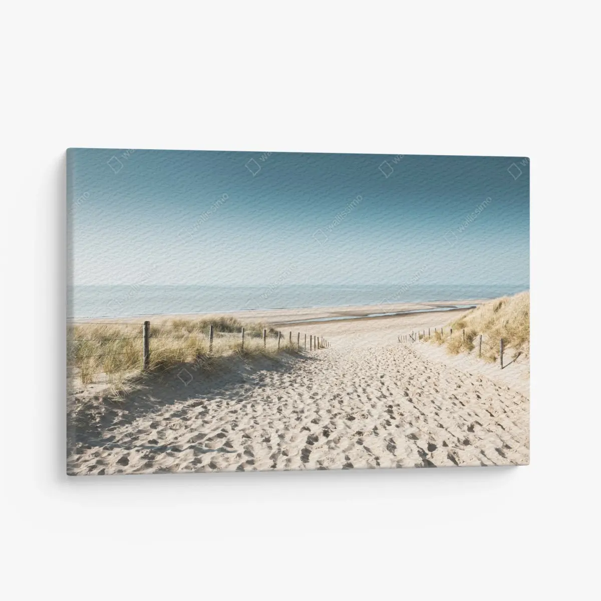 Leinwandbild sanddünen und ruhige Nordsee bei Noordwijk – Pixers®