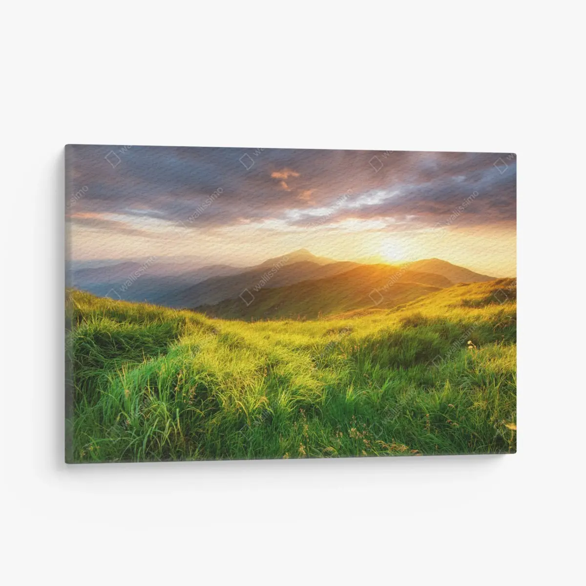 Leinwandbild sonnige bergwiese bei sonnenaufgang – Pixers®