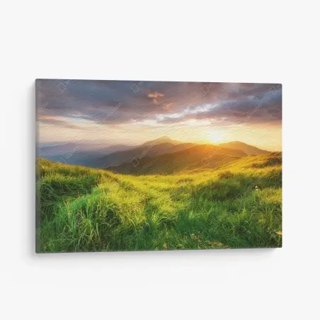 Leinwandbild sonnige bergwiese bei sonnenaufgang – Pixers®