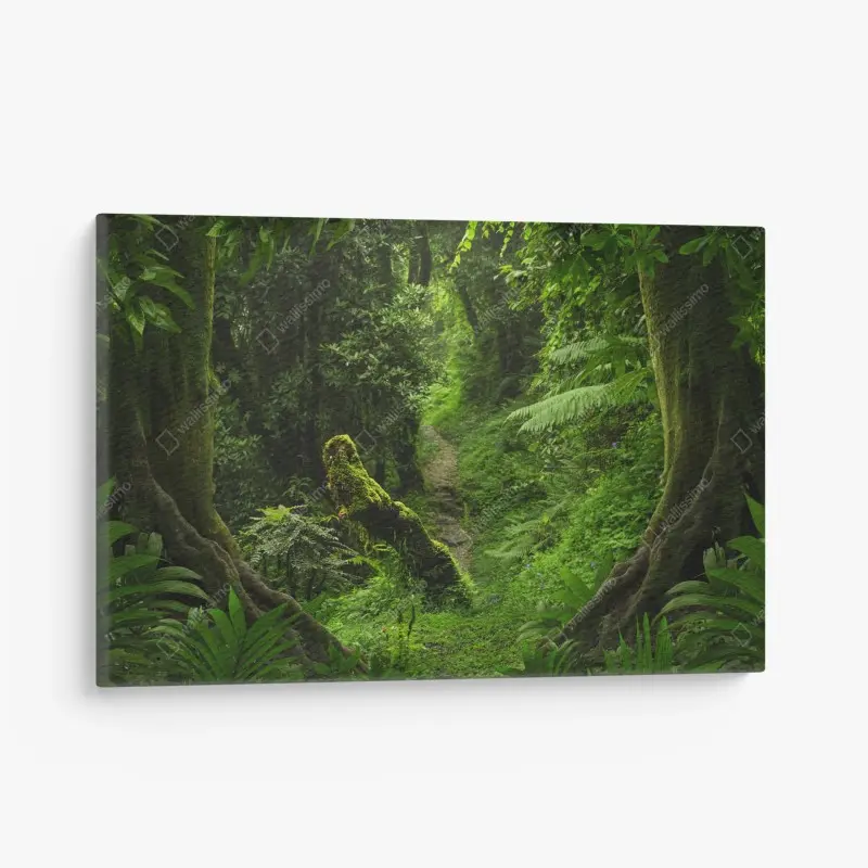 Leinwandbild verzauberter moosiger waldpfad