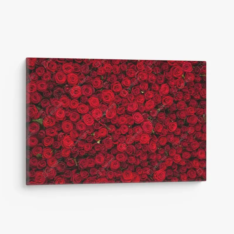 Leinwandbild endlose wand aus roten rosen