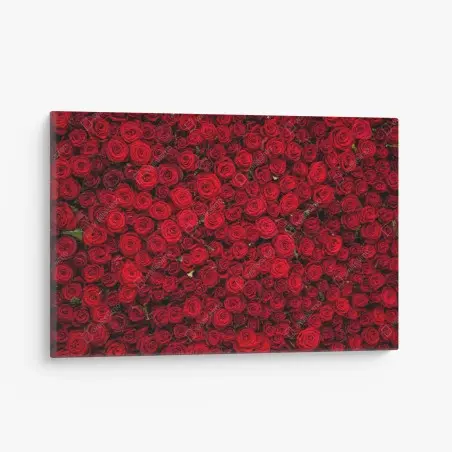 Leinwandbild endlose wand aus roten rosen – Pixers®