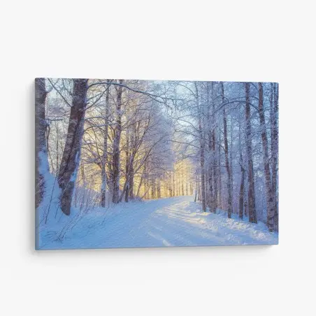 Leinwandbild birkenwald im winter bei sonnenaufgang – Pixers®
