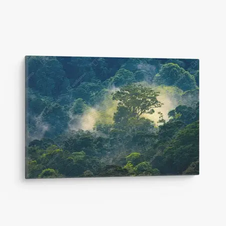 Leinwandbild nebliger regenwald mit baumkronen – Pixers®