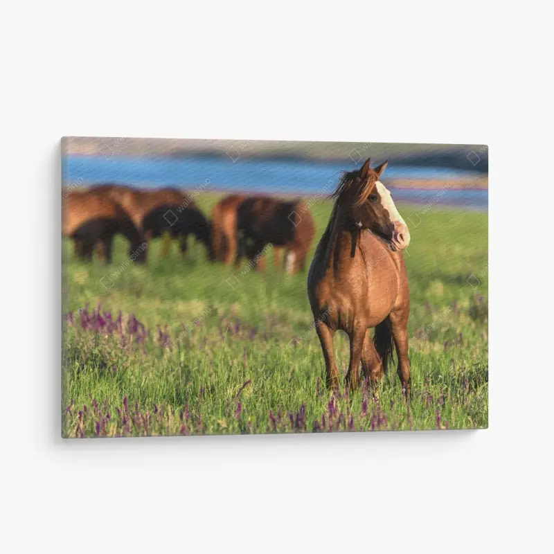 Leinwandbild majestätisches braunes pferd auf einer sonnenbeschienenen wiese