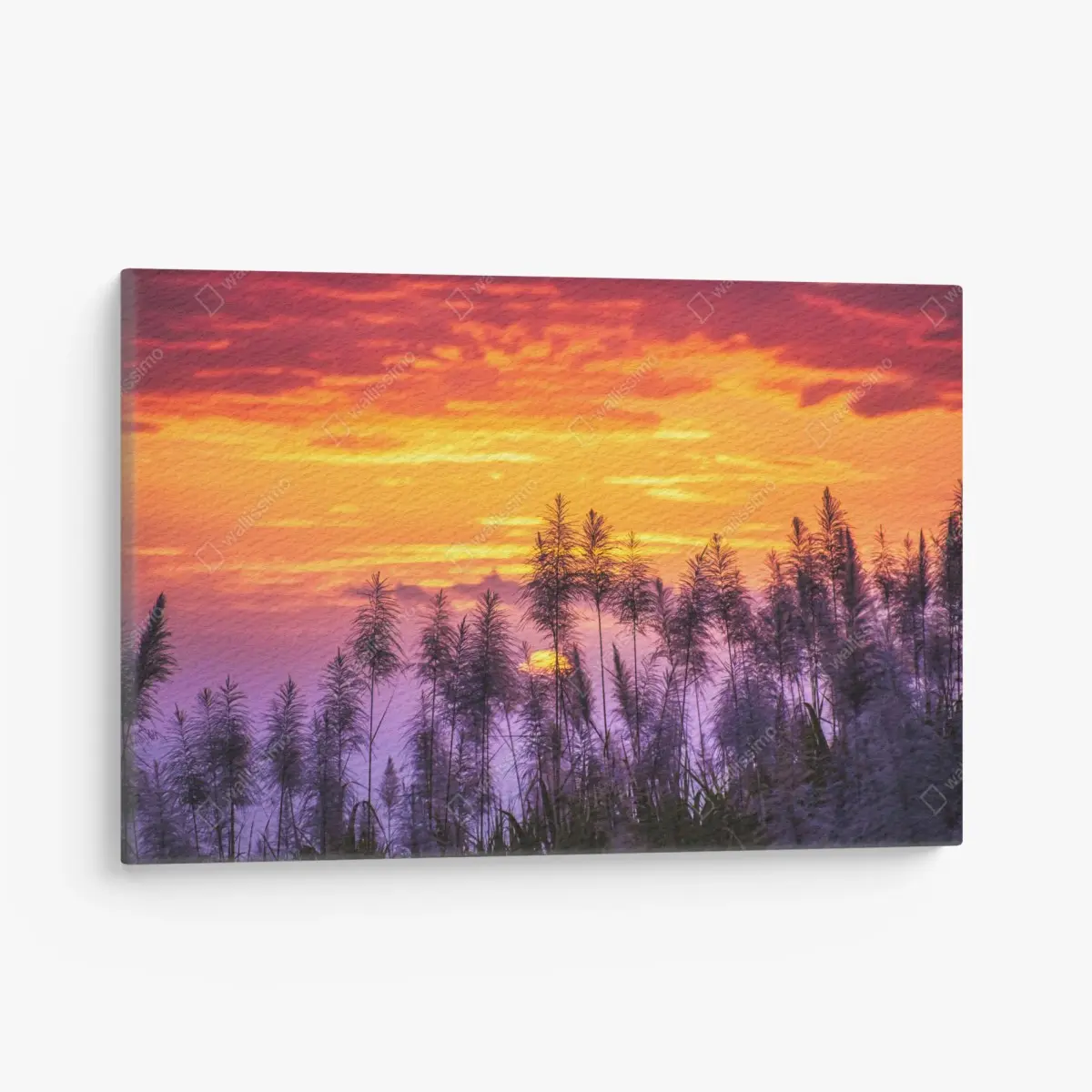 Leinwandbild goldener sonnenuntergang über wildgräsern – Pixers®
