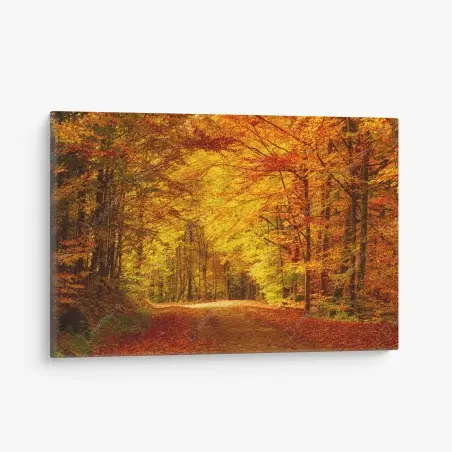 Leinwandbild goldener herbstwaldweg – Pixers®