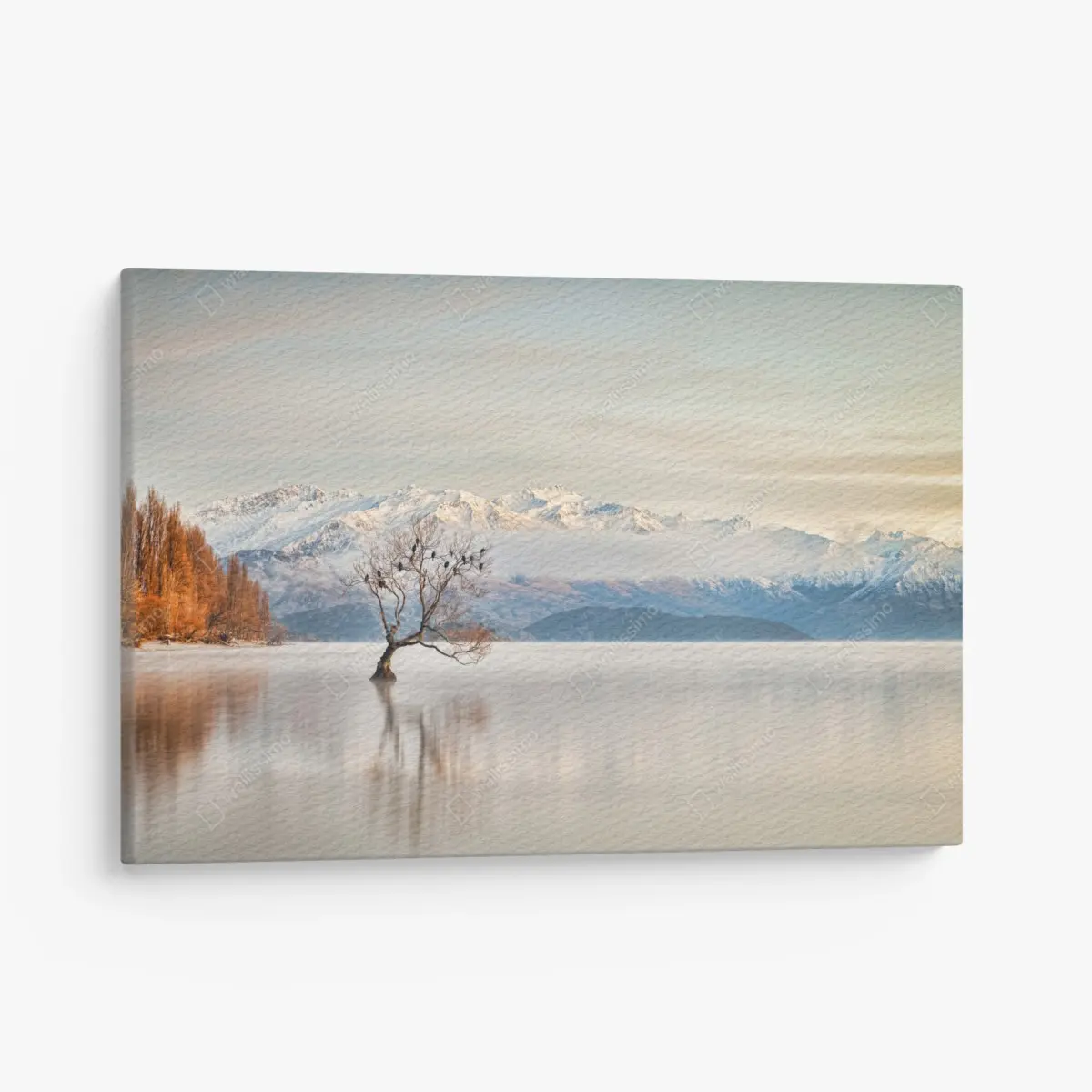 Leinwandbild einsamer baum am see Wanaka – Pixers®