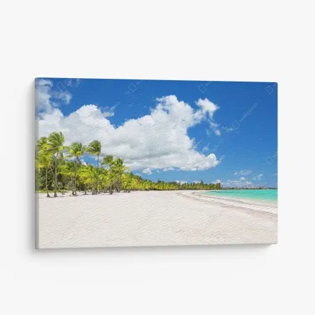 Leinwandbild tropischer strand in Punta Cana – Pixers®