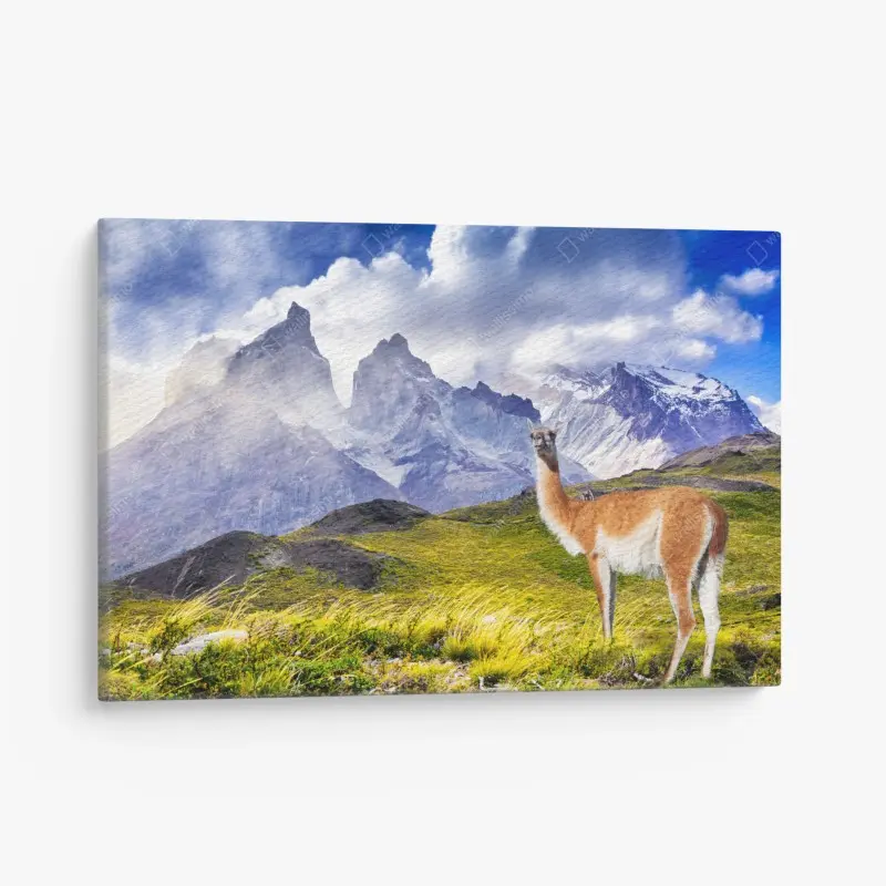Leinwandbild Torres del Paine Patagonia landschaft mit guanako