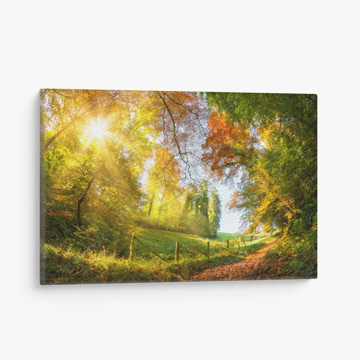 Leinwandbild goldener herbstwaldweg – Pixers®