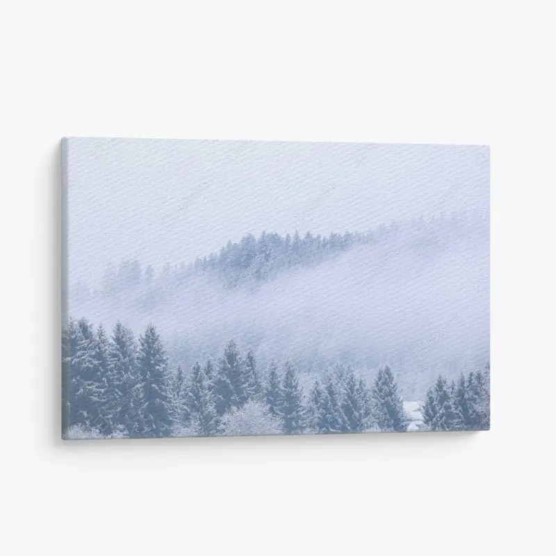 Leinwandbild winternebel über nadelwald