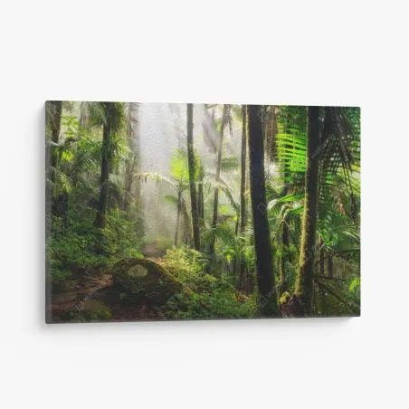 Leinwandbild tropischer regenwald mit sonnenstrahlen – Pixers®