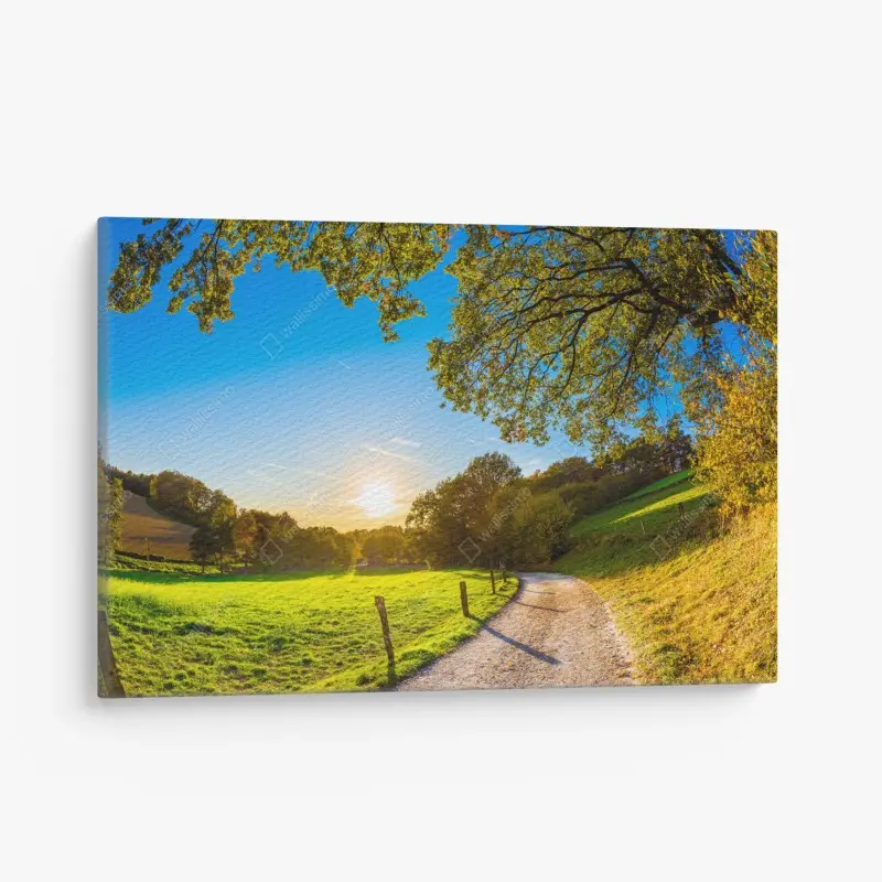Leinwandbild sonnenbeschienene wiese mit landweg bei sonnenuntergang