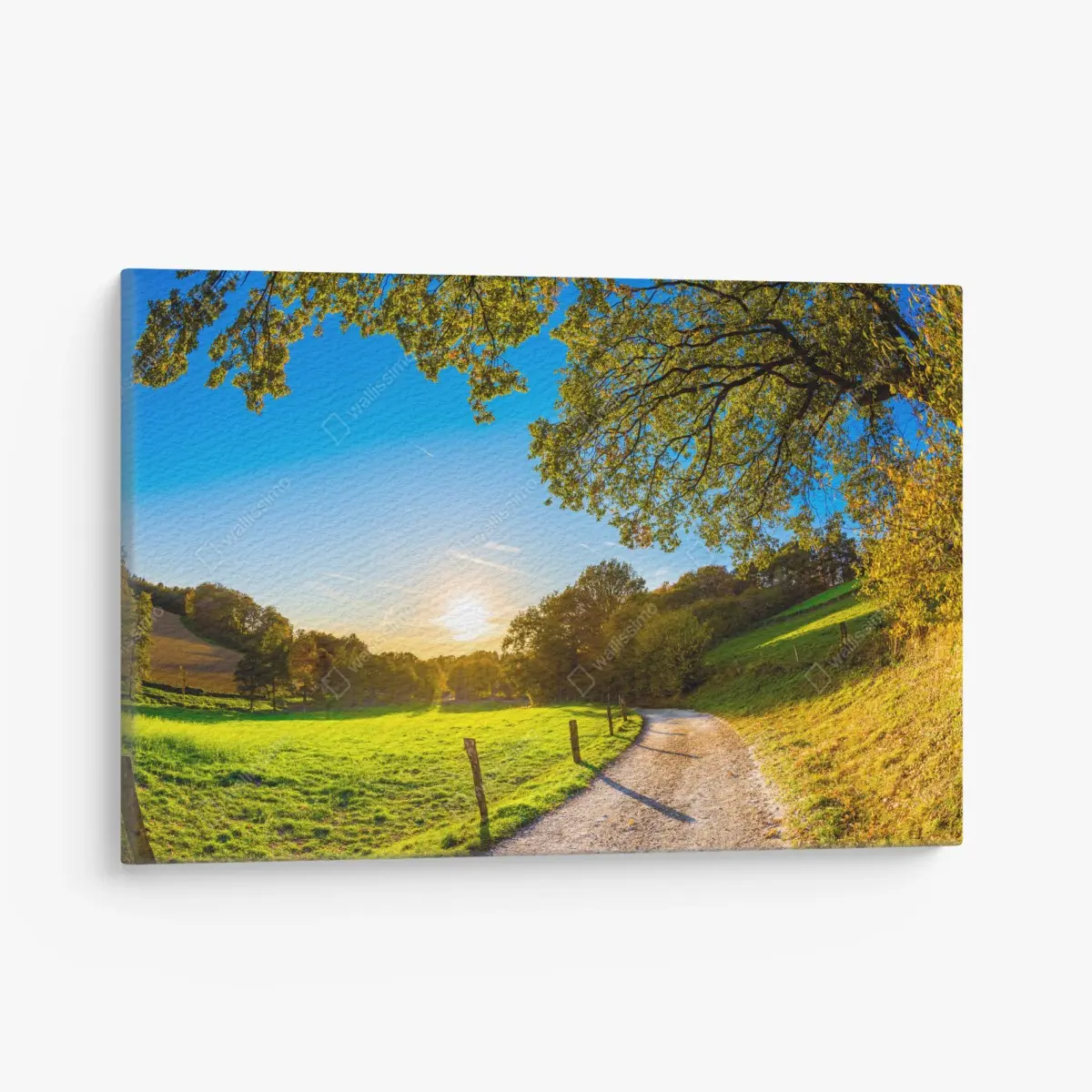 Leinwandbild sonnenbeschienene wiese mit landweg bei sonnenuntergang – Pixers®
