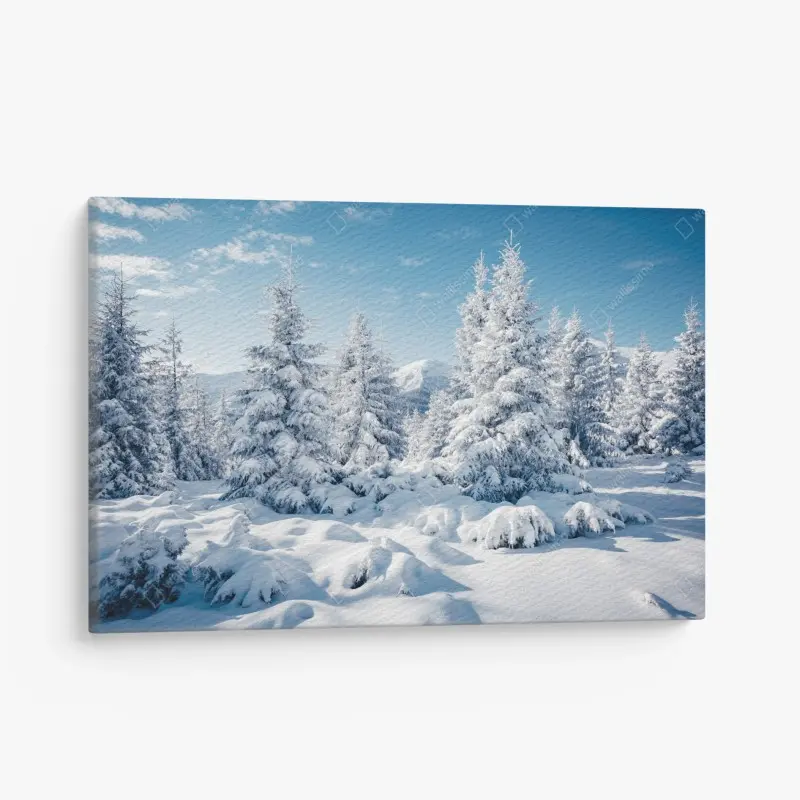 Leinwandbild winterruhe in den Karpaten