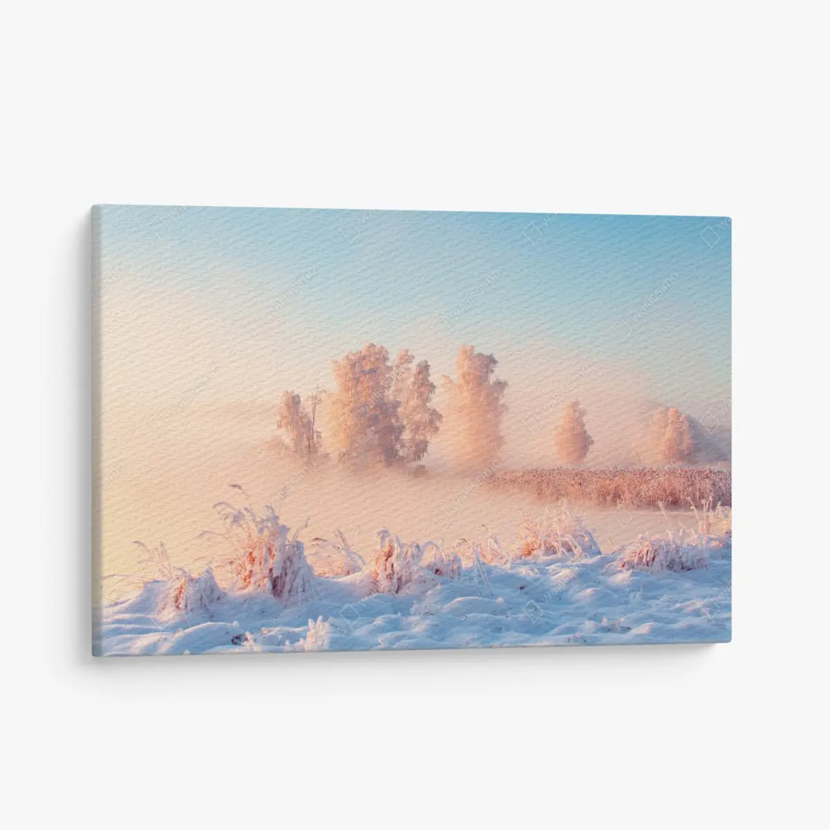Leinwandbild winterlicher sonnenaufgang über einer frostigen wiese – Pixers®