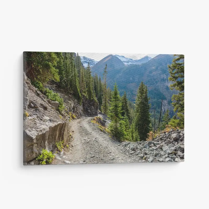 Leinwandbild bergpfad durch alpinen wald