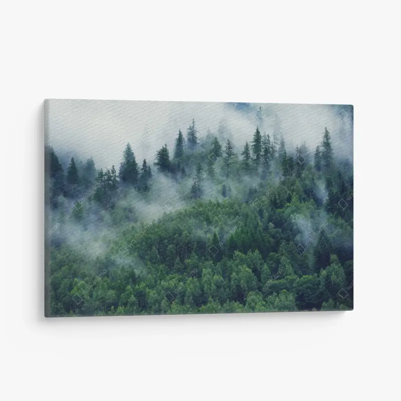 Leinwandbild nebliger grüner wald