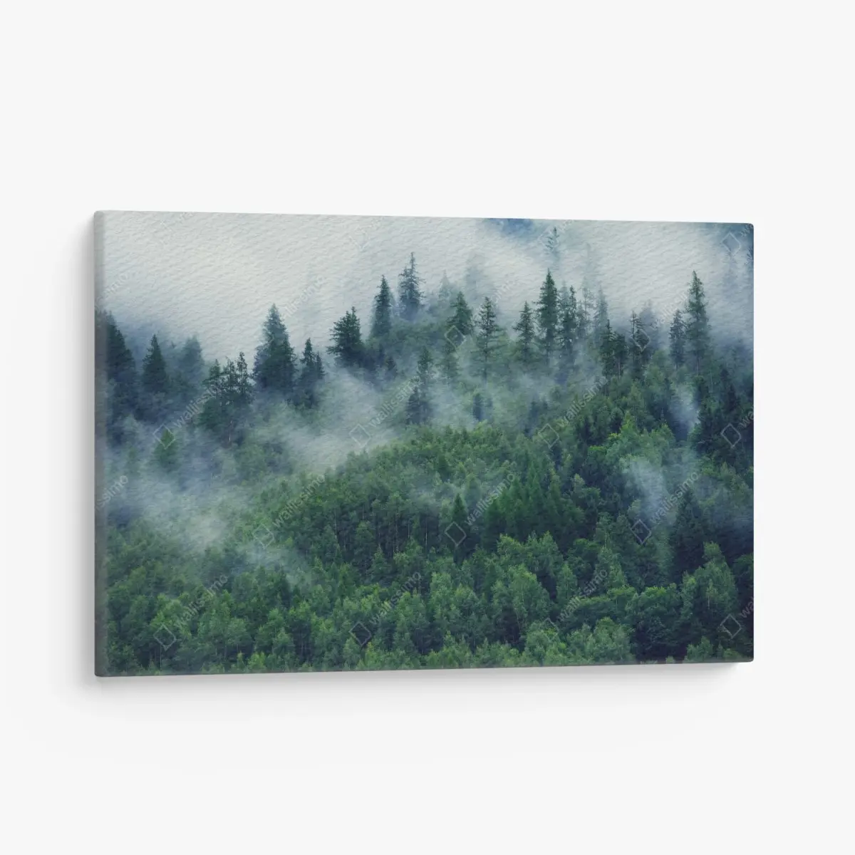Leinwandbild nebliger grüner wald – Pixers®