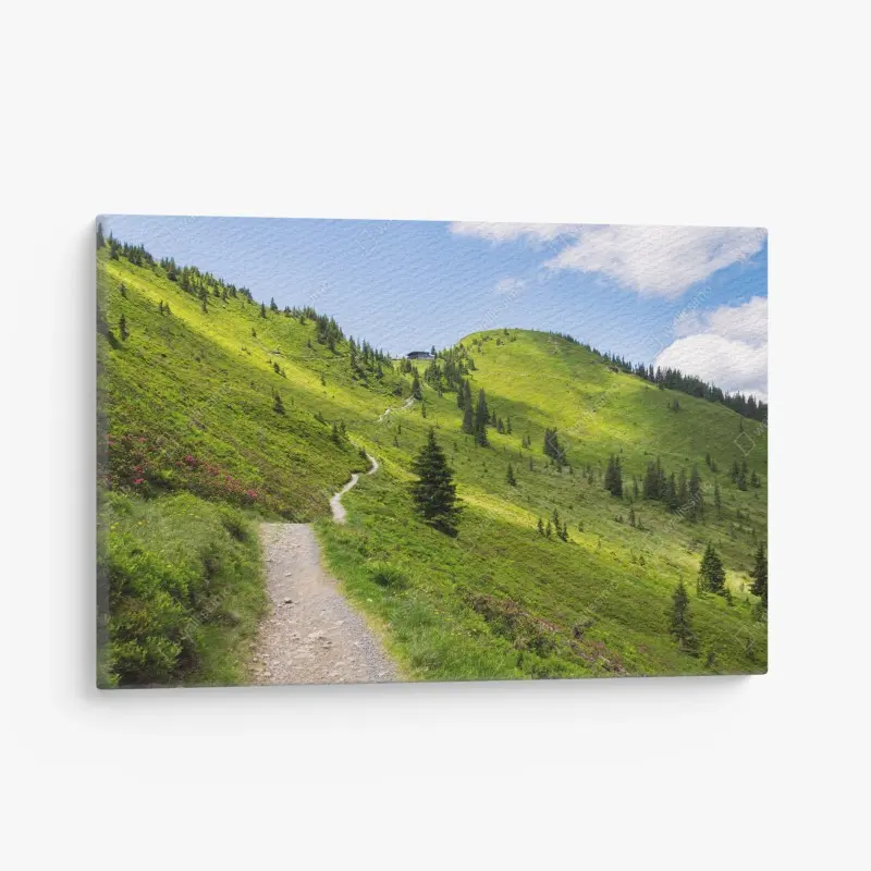 Leinwandbild sonniger bergpfad durch grüne wiese