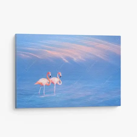 Leinwandbild rosa flamingos auf pastellfarbenem wasser – Pixers®
