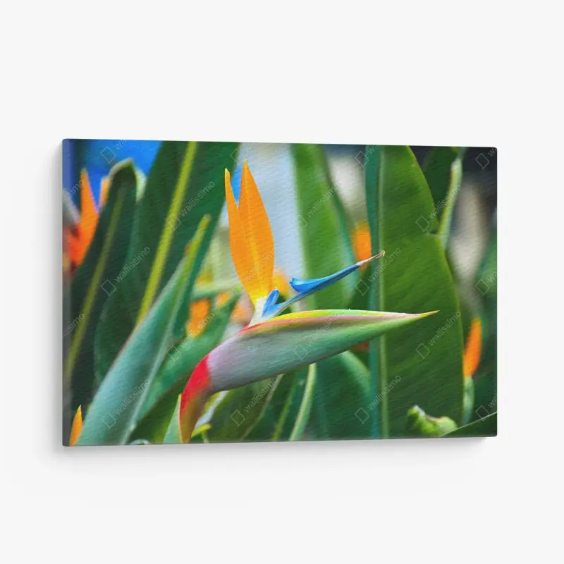 Leinwandbild leuchtende paradiesvogelblume