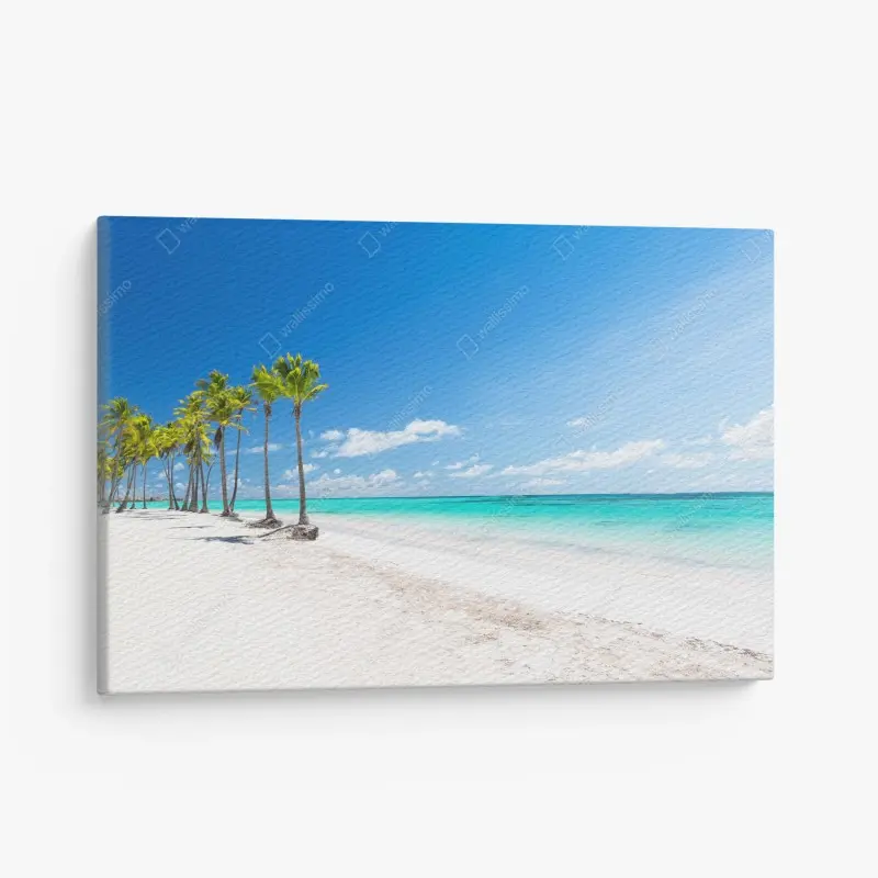 Leinwandbild palmen am strand von Punta Cana