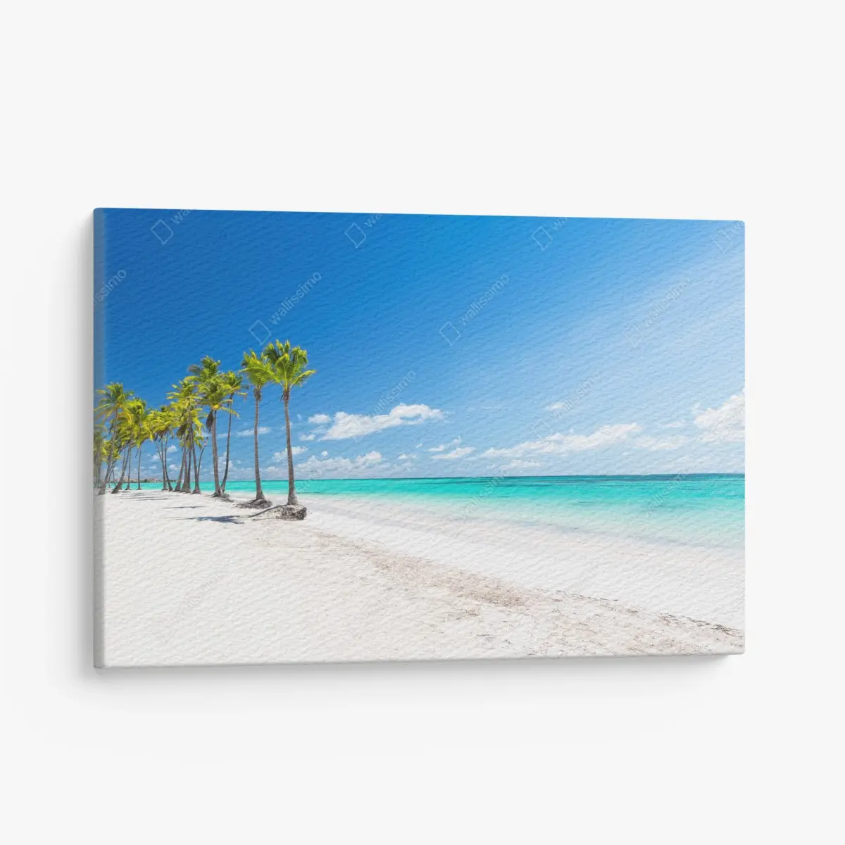Leinwandbild palmen am strand von Punta Cana – Pixers®