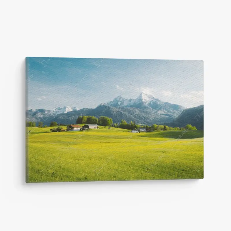 Leinwandbild alpwiese unter schneebedeckten gipfeln