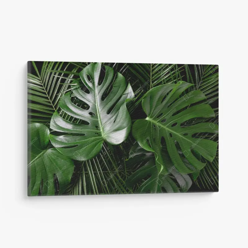 Leinwandbild üppige monstera-blätter