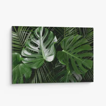 Leinwandbild üppige monstera-blätter – Pixers®