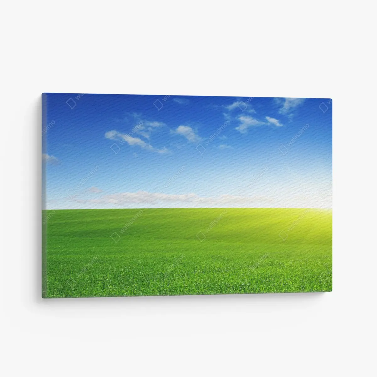 Leinwandbild sonnenbeschienene grüne wiese im morgenlicht – Pixers®